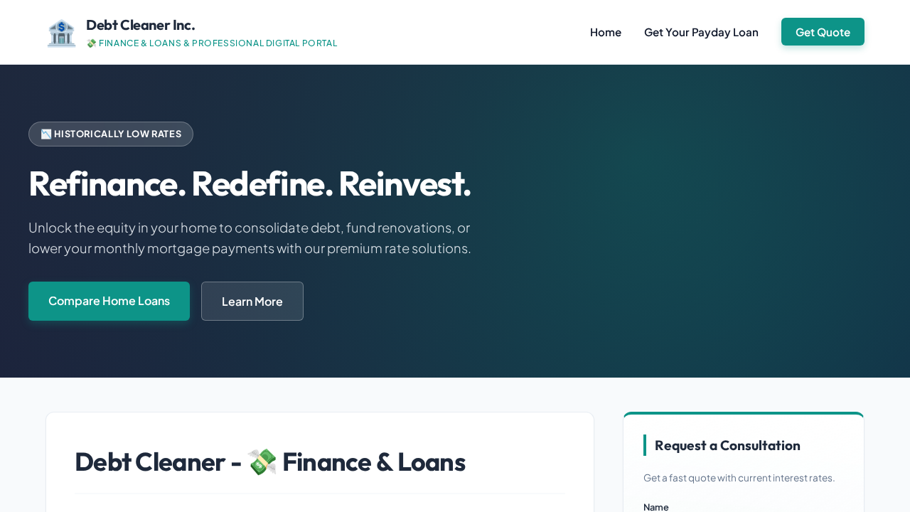 Debt Cleaner Screenshot